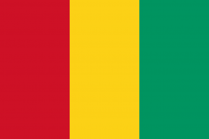Plateforme d'Apprentissage à distance dans le secteur Santé, Guinée